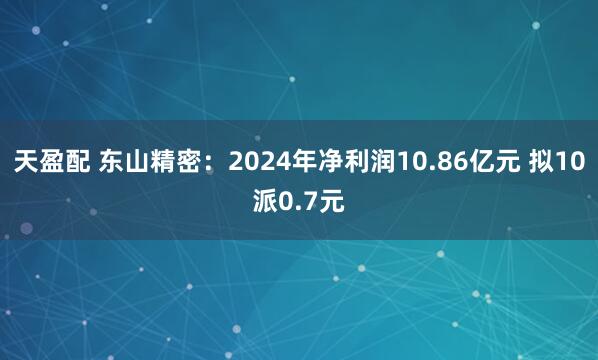 天盈配 东山精密：2024年净利润10.86亿元 拟10派0.7元