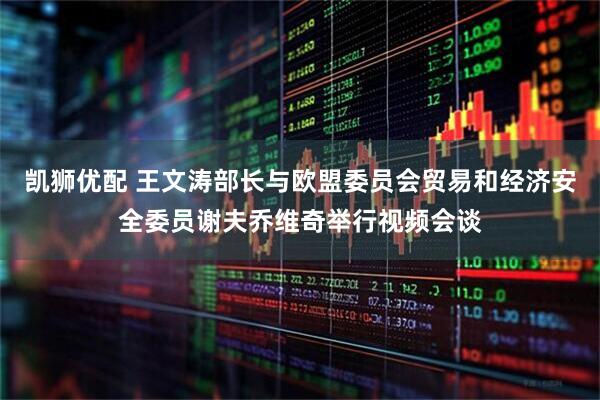 凯狮优配 王文涛部长与欧盟委员会贸易和经济安全委员谢夫乔维奇举行视频会谈