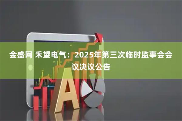金盛网 禾望电气：2025年第三次临时监事会会议决议公告
