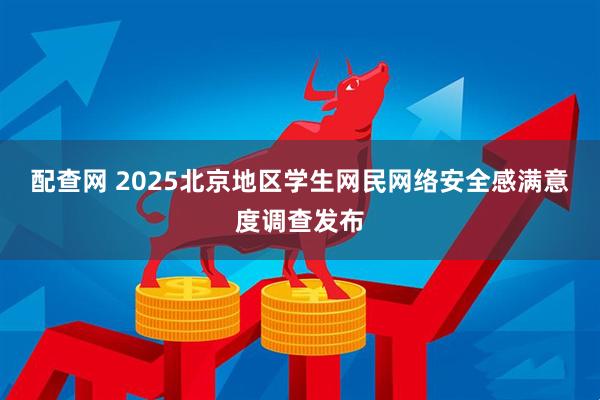 配查网 2025北京地区学生网民网络安全感满意度调查发布