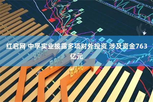 红启网 中孚实业披露多项对外投资 涉及资金763亿元